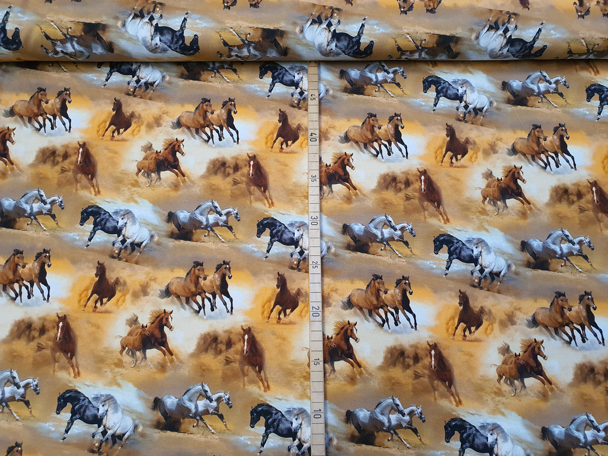 Für alle Pferdefans: Baumwoll Jersey im Digitaldruck in beige-braun mit Pferden - Modemeter Stoffmarkt Trier   modemeter.de