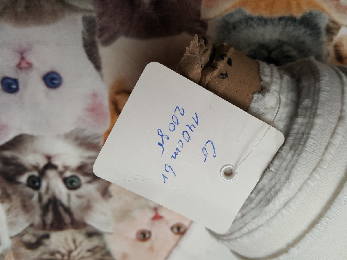 Für Katzenliebhaber: Dekostoff aus Baumwolle Digital mit Katzenbabies - Modemeter Stoffmarkt Trier   modemeter.de
